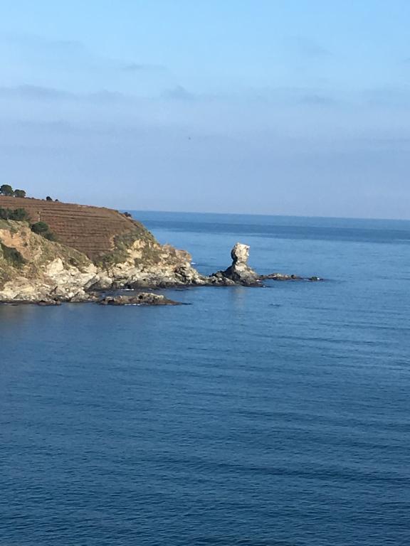 Ibis Styles Collioure Port Vendres Hotel Luaran gambar